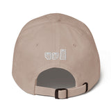 3PG Dad hat
